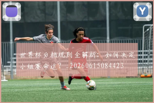 世界杯分档规则全解析:如何决定小组赛命运?_20260615084423