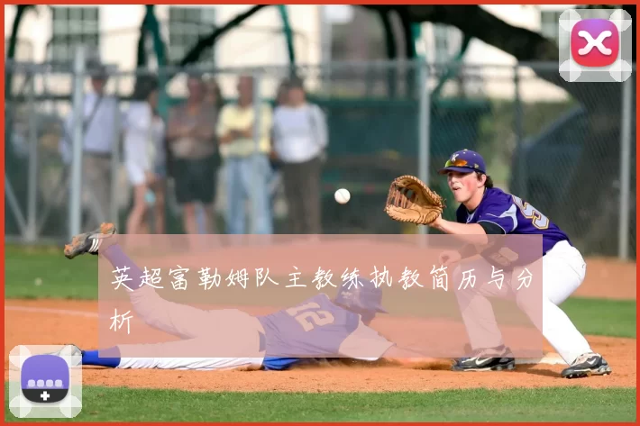英超富勒姆队主教练执教简历与分析