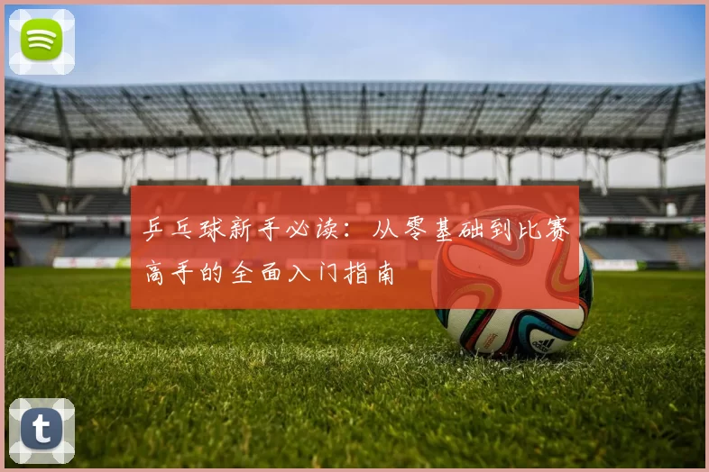 乒乓球新手必读:从零基础到比赛高手的全面入门指南