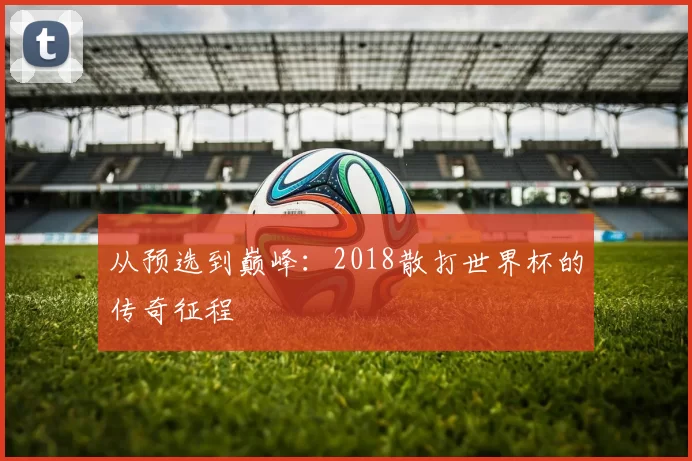 从预选到巅峰:2018散打世界杯的传奇征程