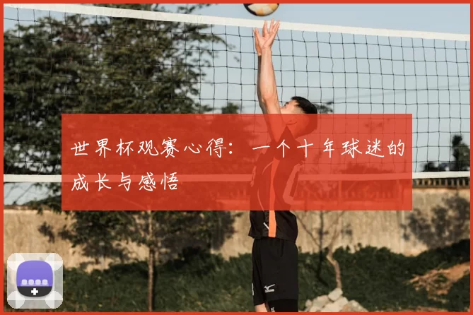 世界杯观赛心得:一个十年球迷的成长与感悟