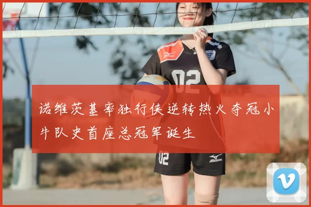诺维茨基率独行侠逆转热火夺冠小牛队史首座总冠军诞生