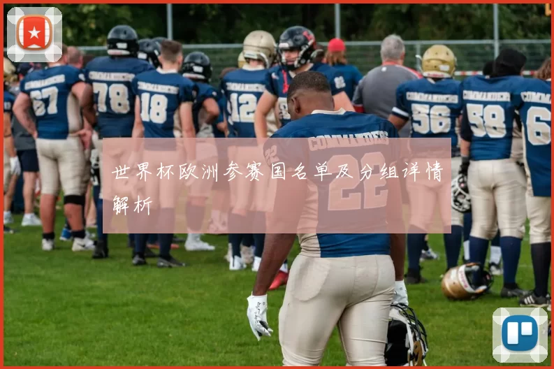 世界杯欧洲参赛国名单及分组详情解析