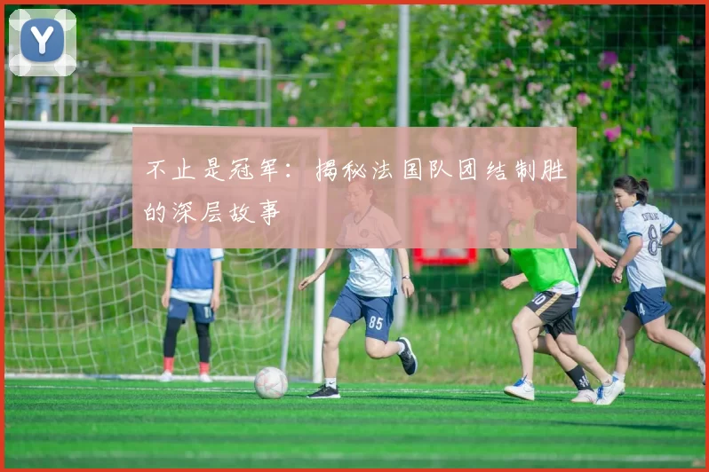 不止是冠军:揭秘法国队团结制胜的深层故事