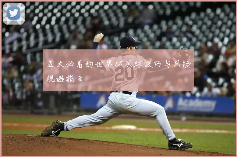 五大必看的世界杯买球技巧与风险规避指南