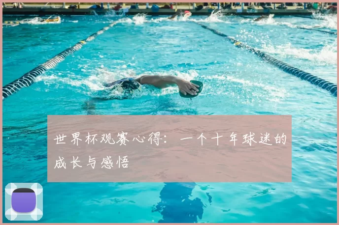 世界杯观赛心得:一个十年球迷的成长与感悟